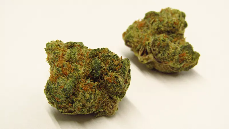Image: Fritter Cake strain