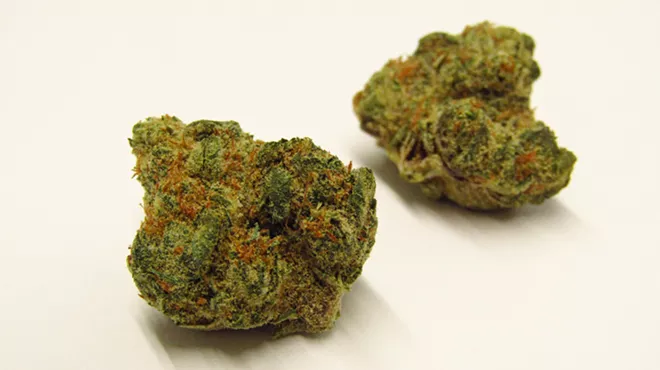 Fritter Cake strain