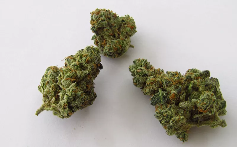 Image: Put this Biscuit in your dispensary basket.