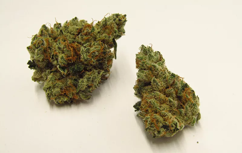 Image: Garlic Cocktail cannabis strain