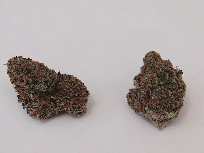 Image: Who's ready to get Funked up?