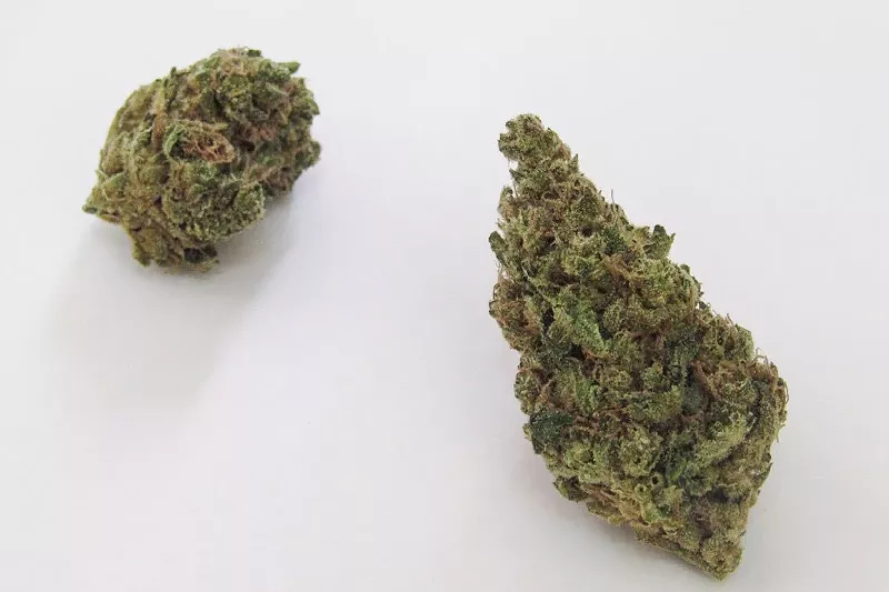 Image: Say hello to Pepé Le Purp.