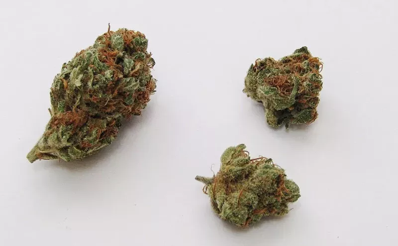 Image: Why Colorado Tokers Love Grapefruit