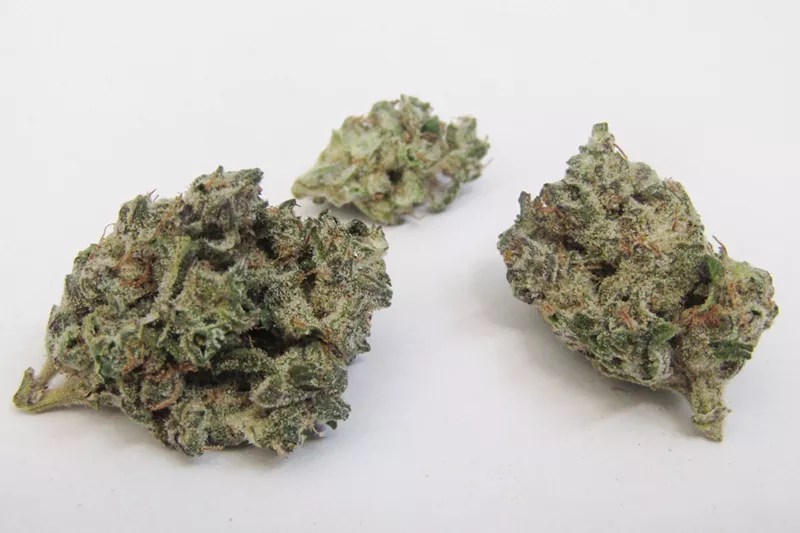 Image: Don't let Grease Ball's looks and aromatic charm fool you into thinking it's a daytime strain.