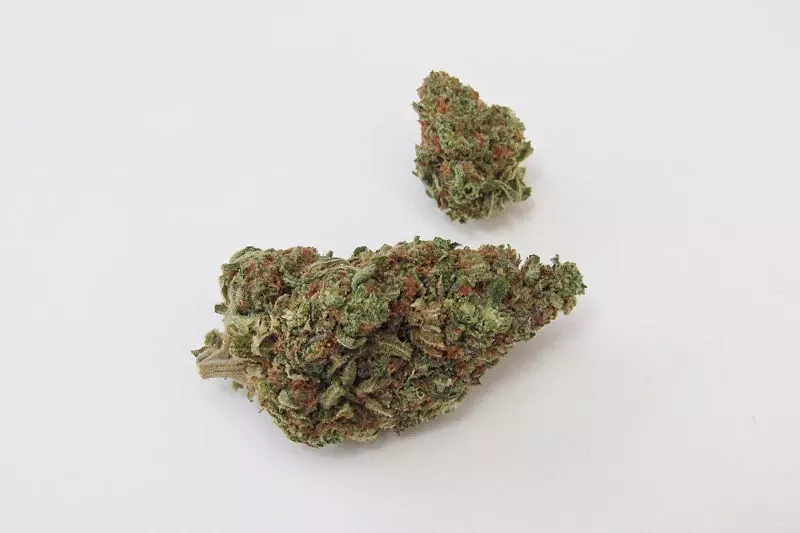Image: Just when you thought it was safe to pack another bowl...
