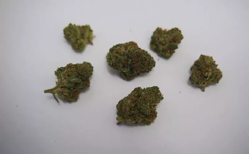 Image: Why Colorado Tokers Love Harlequin