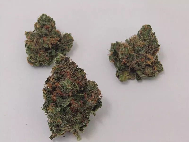 Image: Some strains come and go, but the Plant remains.