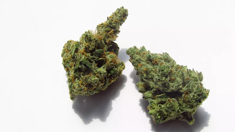 Image: For a cannabis activist, having a strain named after you is the ultimate sign of respect.