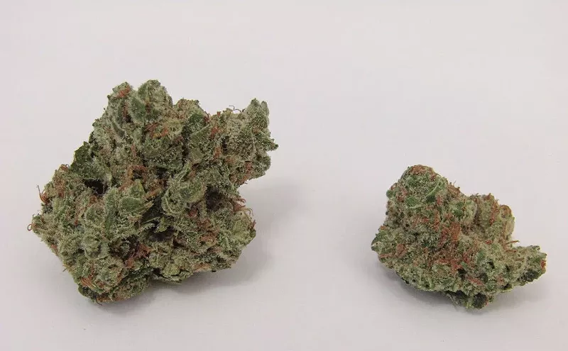 Image: Why Colorado Tokers Love Killer Queen