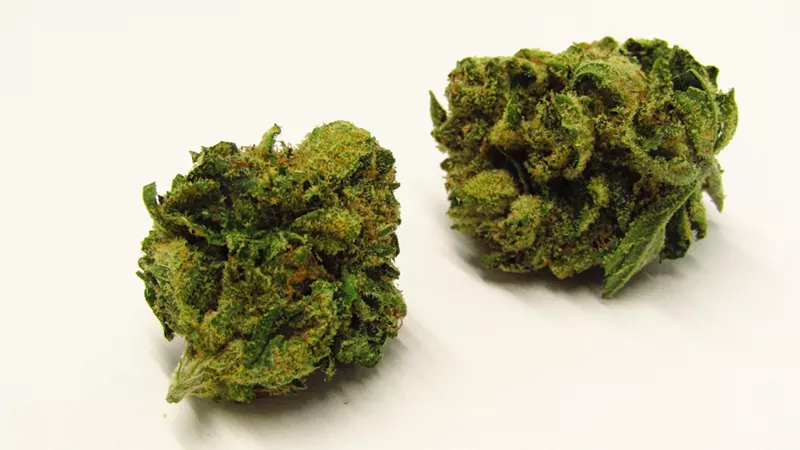 Image: Already popular in California, Lemon Tree has branched off to Colorado.