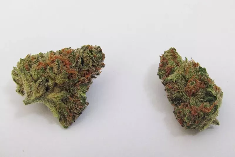 Image: Mangos and cannabis are closer than you'd think.