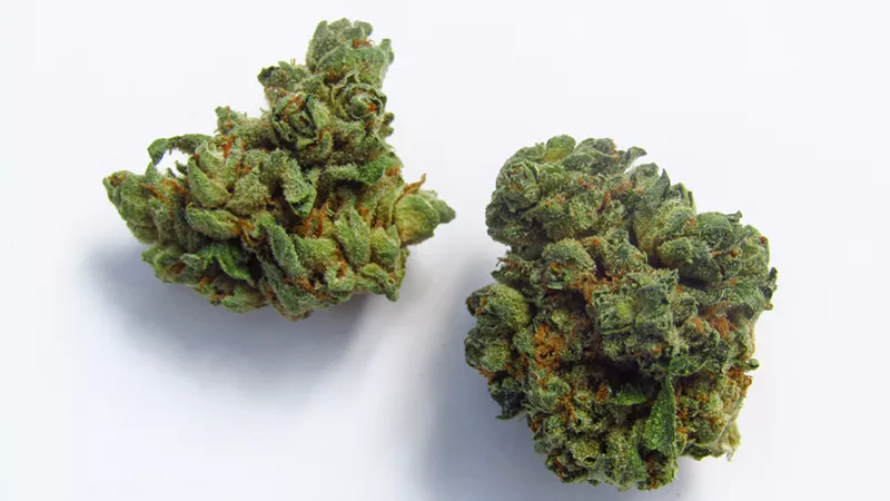 Image: OG Lime Killer has escaped into Colorado.