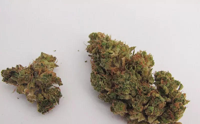 Image: Why Colorado Tokers Love Opium