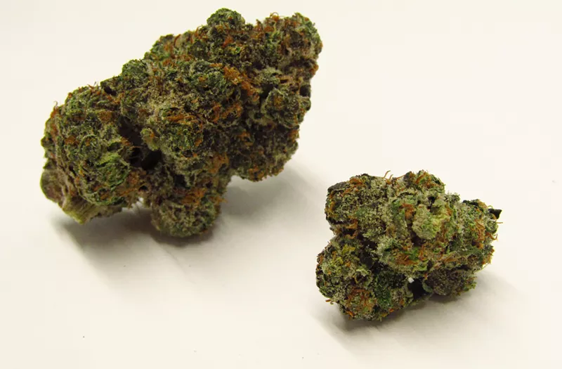 Image: Orange Push Pop cannabis strain
