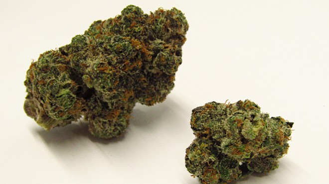 Orange Push Pop cannabis strain
