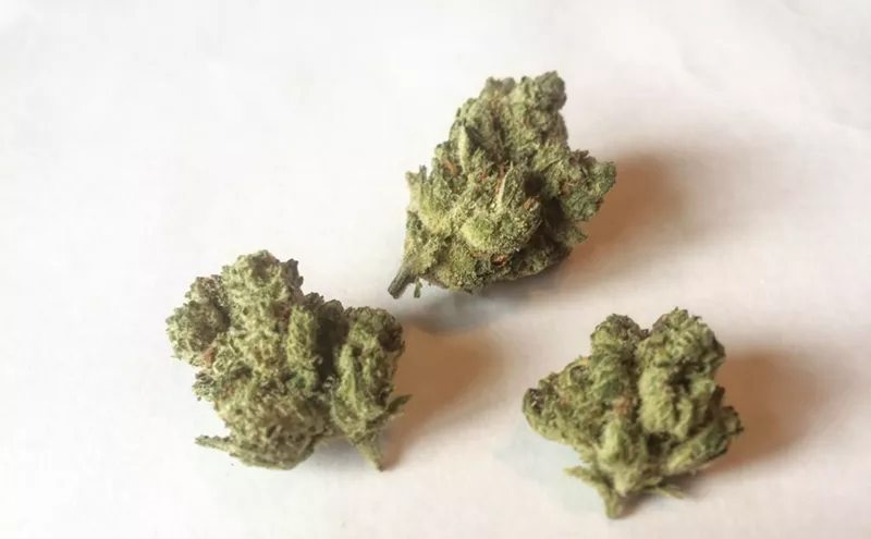 Image: Why Colorado Tokers Love Panama Punch