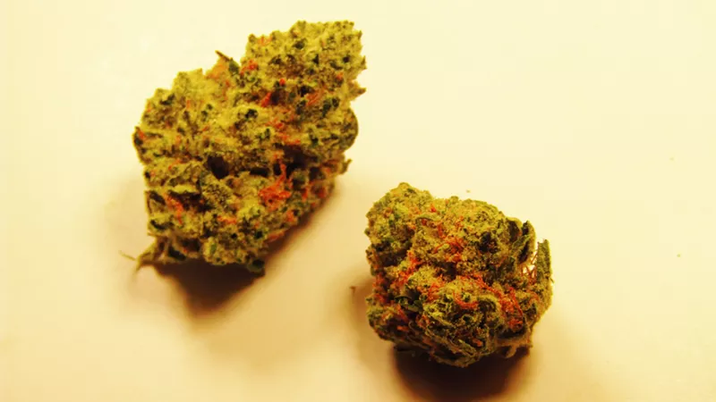 Image: Of all the breaths to get stuck with, Peanut Butter Breath is far from the worst.