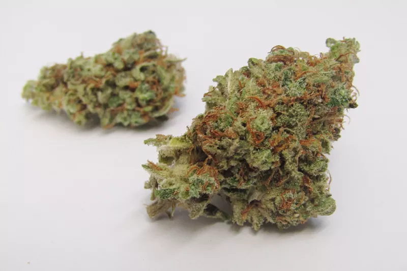 Image: Pillow Factory's buds are extra-fluffy.