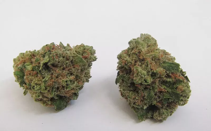 Image: Why Colorado Tokers Love Pineapple Chunk