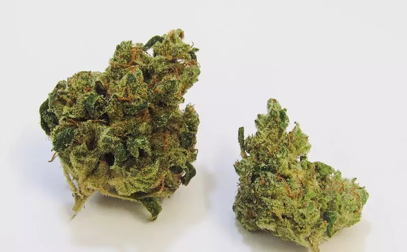 Image: Why Colorado Tokers Love Pucker