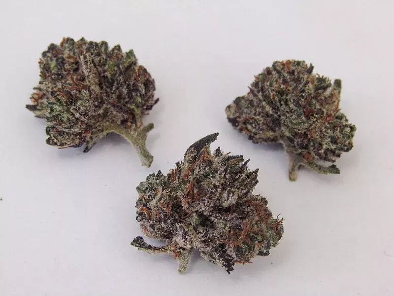 Image: The resin-glazed purple people eater itself.