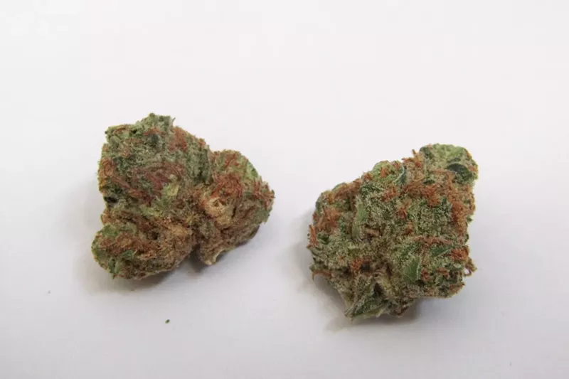 Image: It can be hard to find quality versions of Purple Thai, which carries a classic sativa high.
