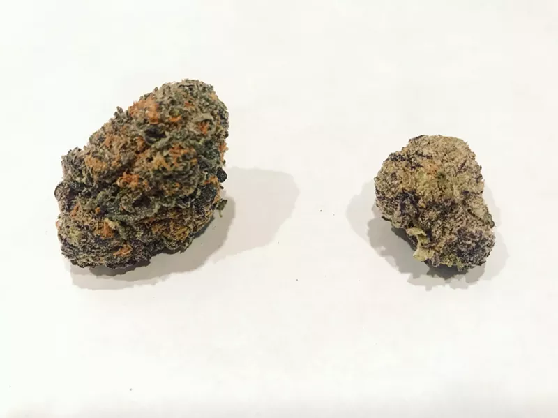 Image: Purple Urkle is a true mauve mauler.