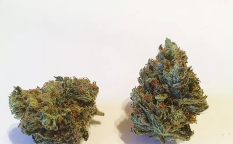 Image: Why Colorado Tokers Love Qrazy Train