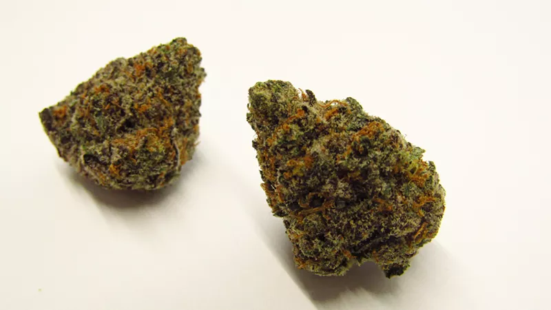 Image: Keep your mind occupied and body nurtured, and this Rozay is ripe for a good time.