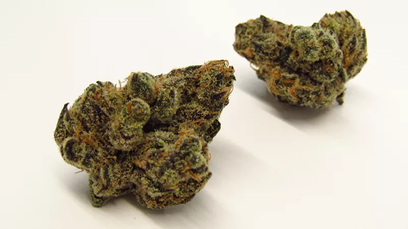 Image: Green and purple marijuana buds