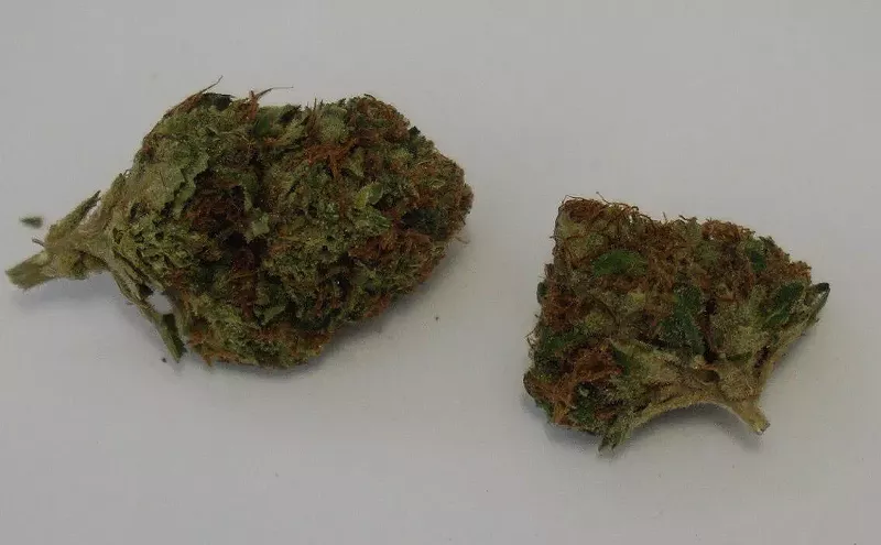 Image: Why Colorado Tokers Love Snowcap