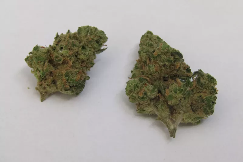 Image: Don't let the Cookies craze push you away from Sour OG.