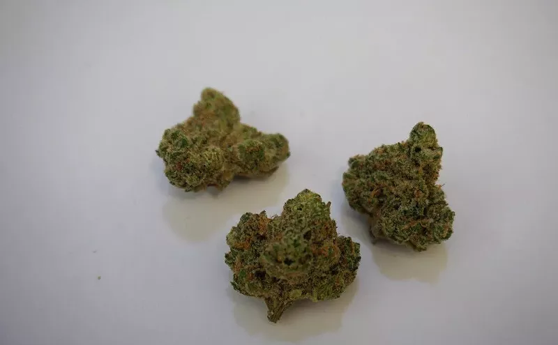 Image: Why Colorado Tokers Love Strawberries & Dream