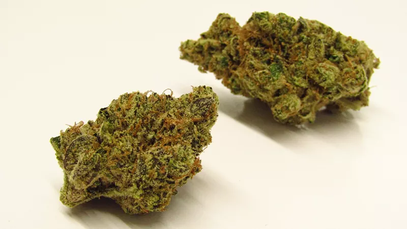 Image: Sudz marijuana buds