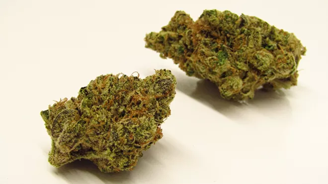 Sudz marijuana buds
