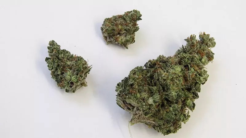Image: Who doesn't want a bowl of sherbet during the summer?