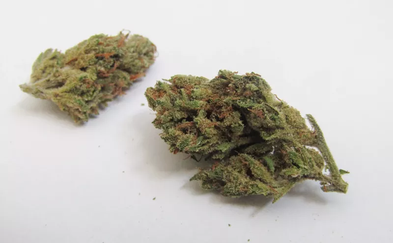Image: Why Colorado Tokers Love Super Silver Haze