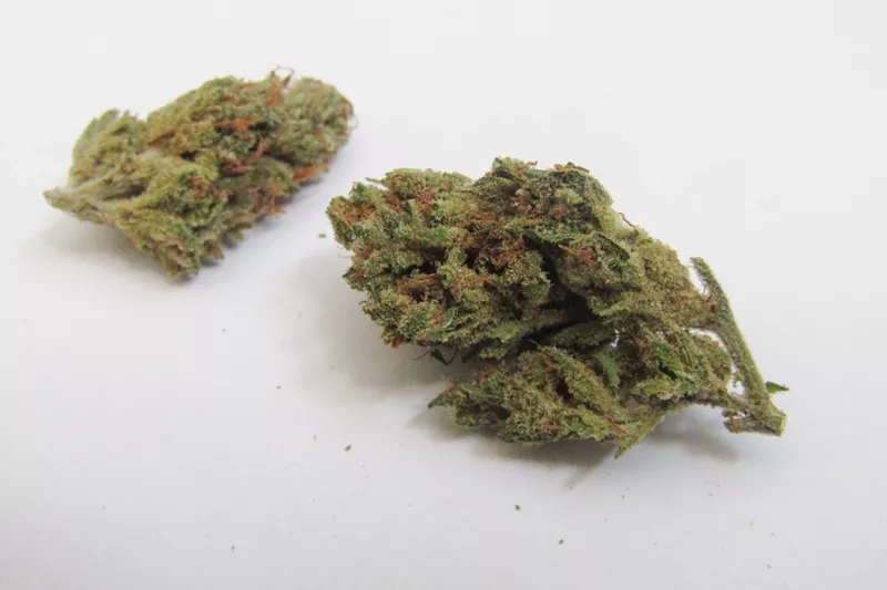 Image: Super Silver Haze has been shining through Mason jars since the ’90s.