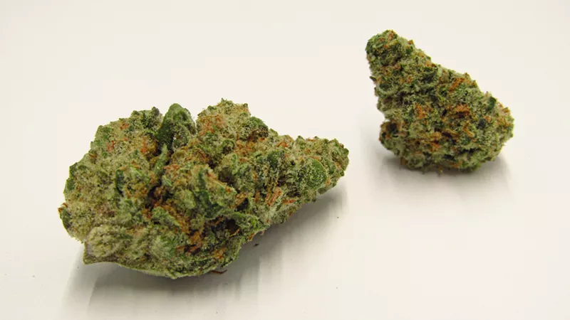 Image: Tally Mon strain