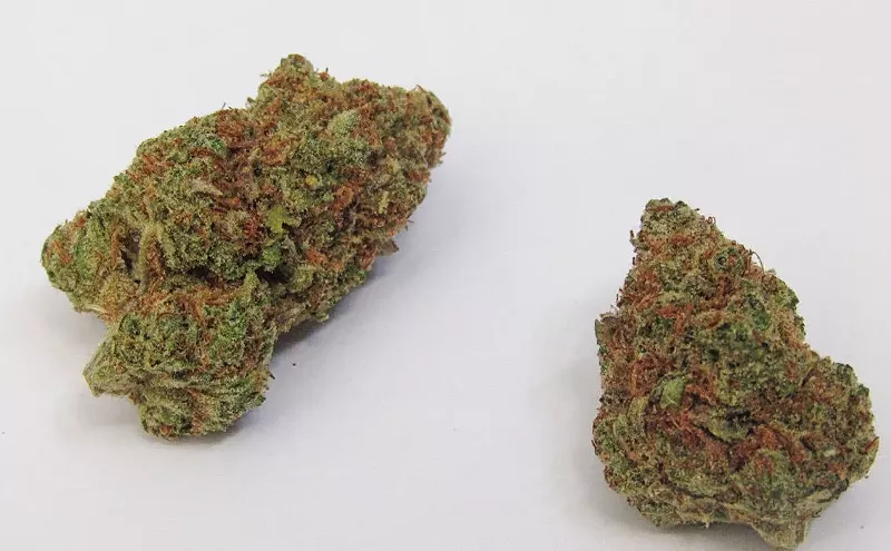 Image: Why Colorado Tokers Love Tangerine Power