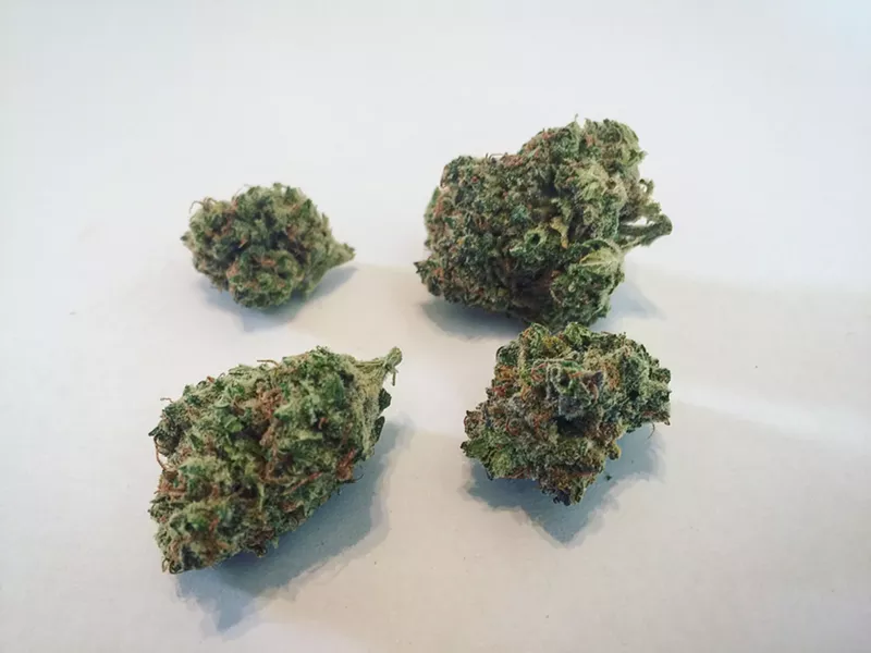 Image: THC Bomb is a blast of hybrid goodness.
