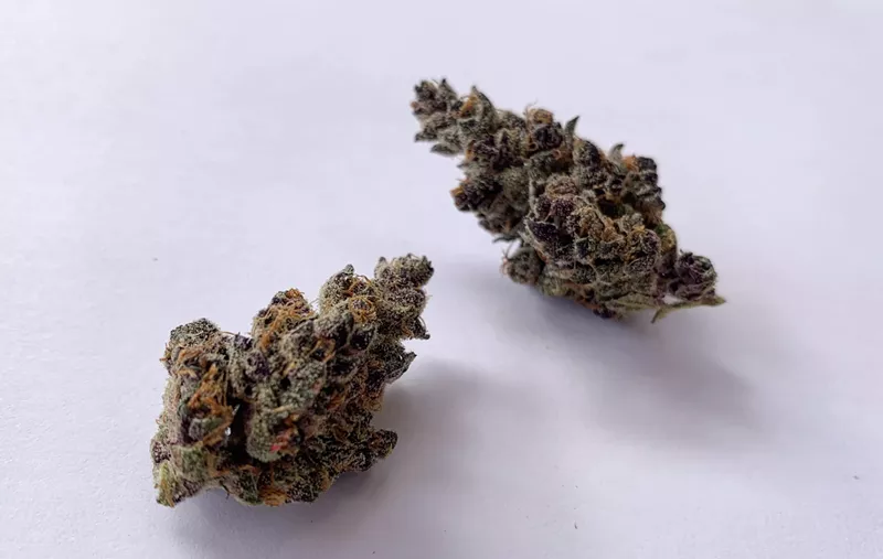 Image: Don't let the deep purple spots fool you into smoking Tropicana Cookies before bedtime.