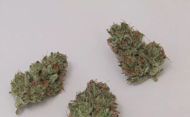 Image: Why Colorado Tokers Love Witches Weed