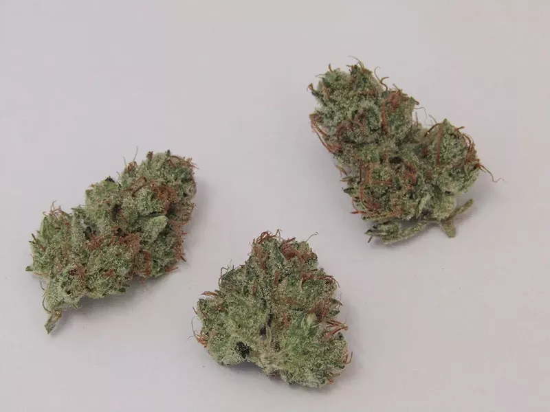 Image: Witches Weed will take you higher than any broom.