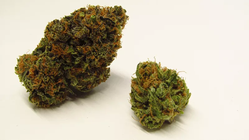 Image: Zkittlez cannabis strain