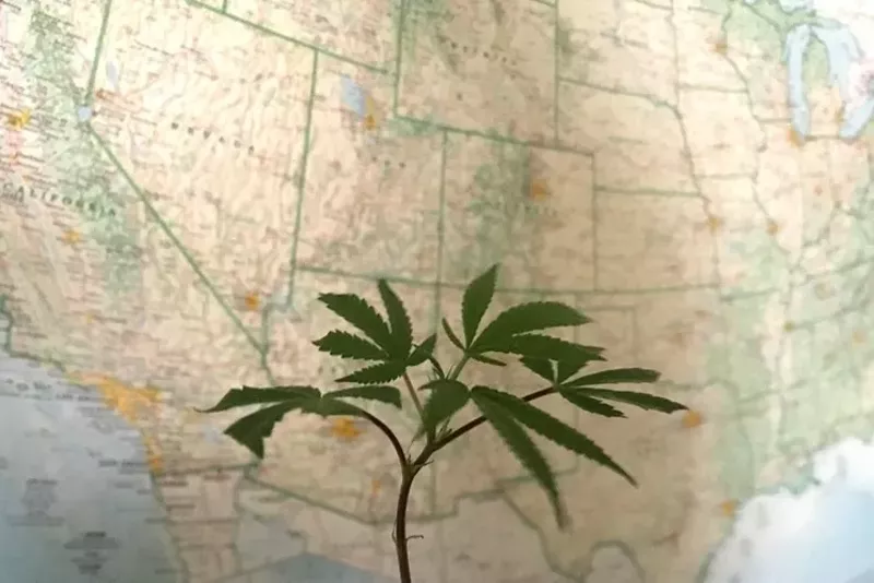 Image: Five states are voting on medical or recreational marijuana legalization this November.