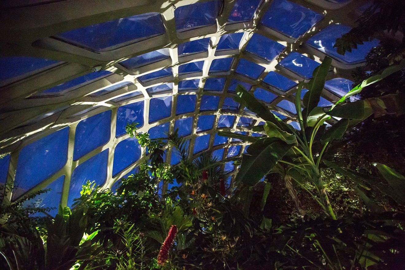 Inside the Boettcher Memorial Tropical Conservatory at Denver Botanic Gardens.