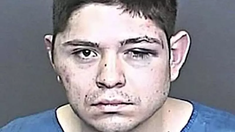 Image: Michael DeHerrera's post-beating booking photo.