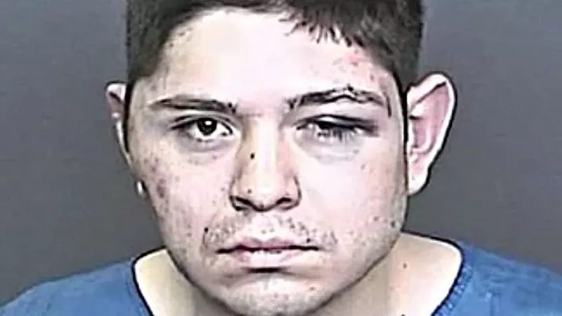 Image: Michael DeHerrera's post-beating booking photo.