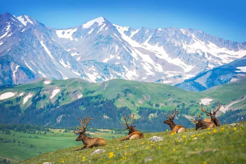 Image: In the 2016 fiscal year, the Colorado Bureau of Land Management issued 115 leases — the second-most of any state — covering over 10 million acres.